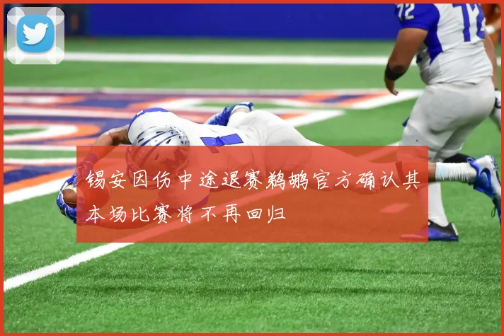 锡安因伤中途退赛鹈鹕官方确认其本场比赛将不再回归