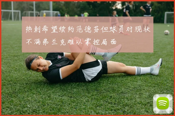热刺希望续约范德芬但球员对现状不满弗兰克难以掌控局面