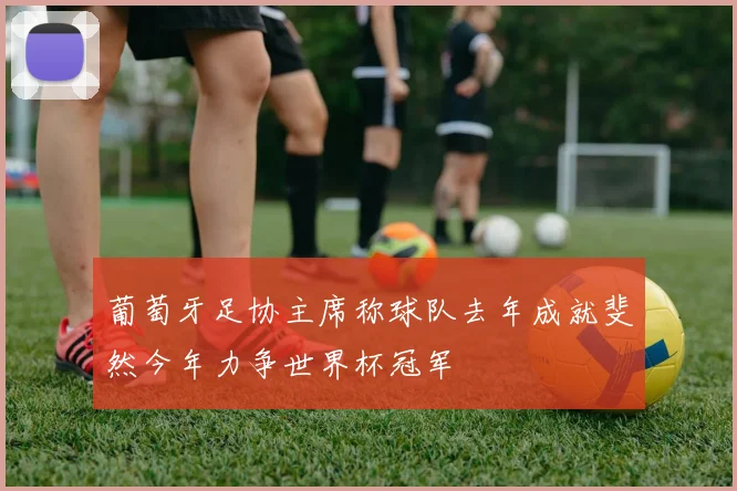 葡萄牙足协主席称球队去年成就斐然今年力争世界杯冠军