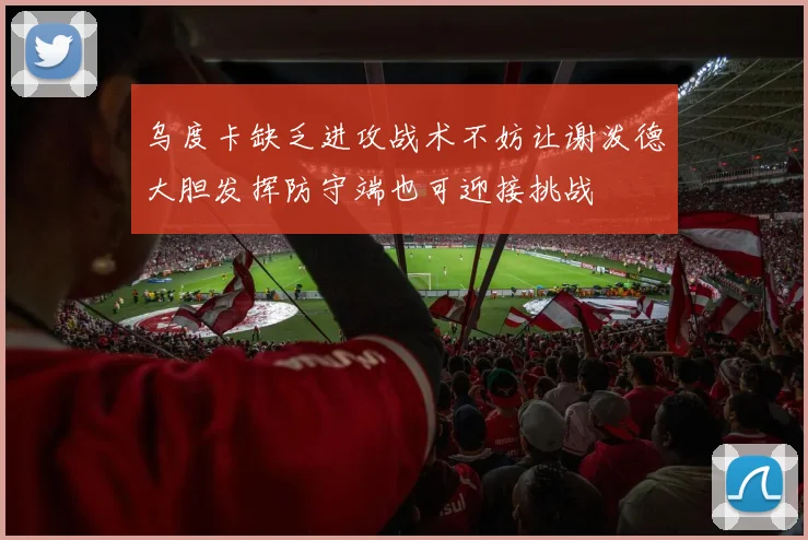 乌度卡缺乏进攻战术不妨让谢泼德大胆发挥防守端也可迎接挑战